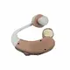 Mini Bte Hearing Aids Wholesale - Greenwattz 3