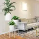 Indoor Decorative Flower Pots Floor/ Garden by NEW IMAGE 4
