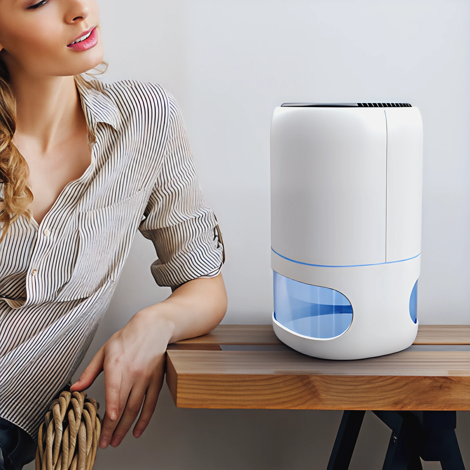 Dehumidifier 1