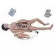 Customneonatal Resuscitation Manikin INC-F01 Teacher Doctors 2