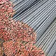 Longxing Steel Carbon Steel Pipe Manufacturers Hot Rollledfrom China 3