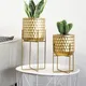 Metal Plant Pots Modern Wholesale - NEW IMAGE 5