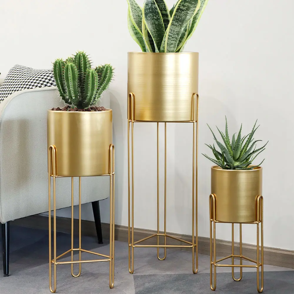 Decorative Flower Pots for Living Room Floor/ Garden - - NEW IMAGE 2
