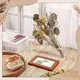 Custom Made Acrylic Display Case Acrylic - - HQ ACRYLIC 5