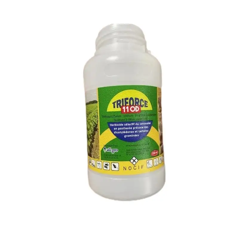 Liste des prix de moulage par injection IML 6