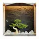 Pu Mushroom Stone Factory Modern - - JINYUAN 4