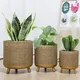 Artificial Flower Pot Floor/ Garden by NEW IMAGE 3