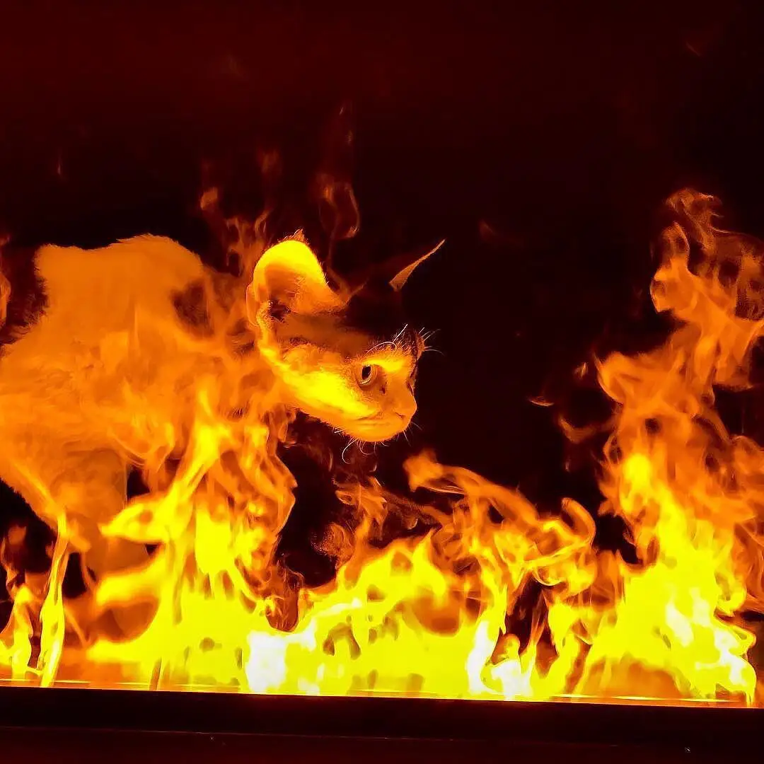 Bio Ethanol Fuel 304 - - SEFIRE 5