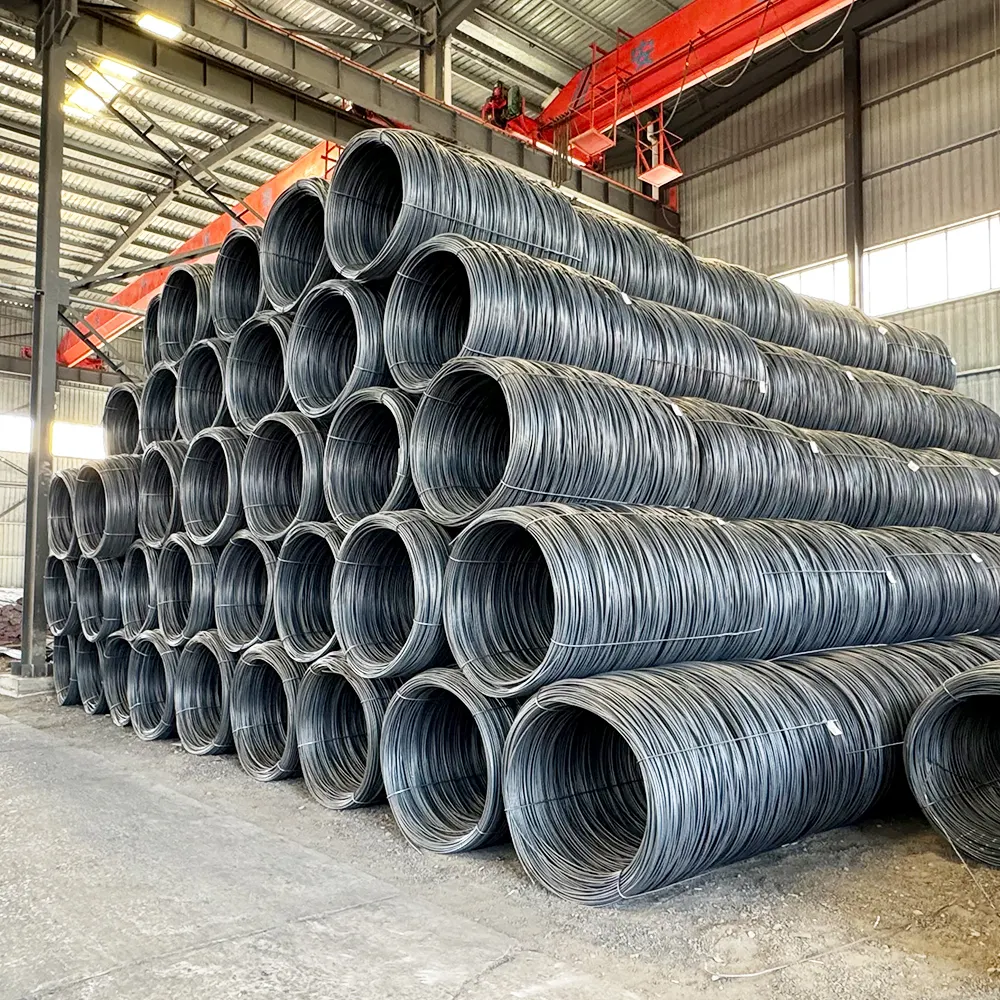 Longxing Steel Carbon Steel Pipe Manufacturers Hot Rollledfrom China 6