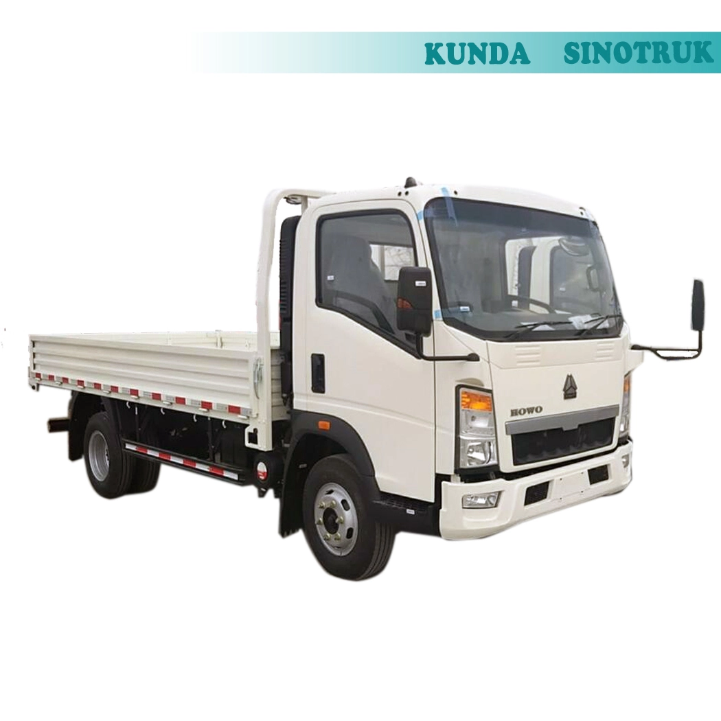 Camion cargo tout-terrain 4x4 - Masse totale de 5 000 kg 1