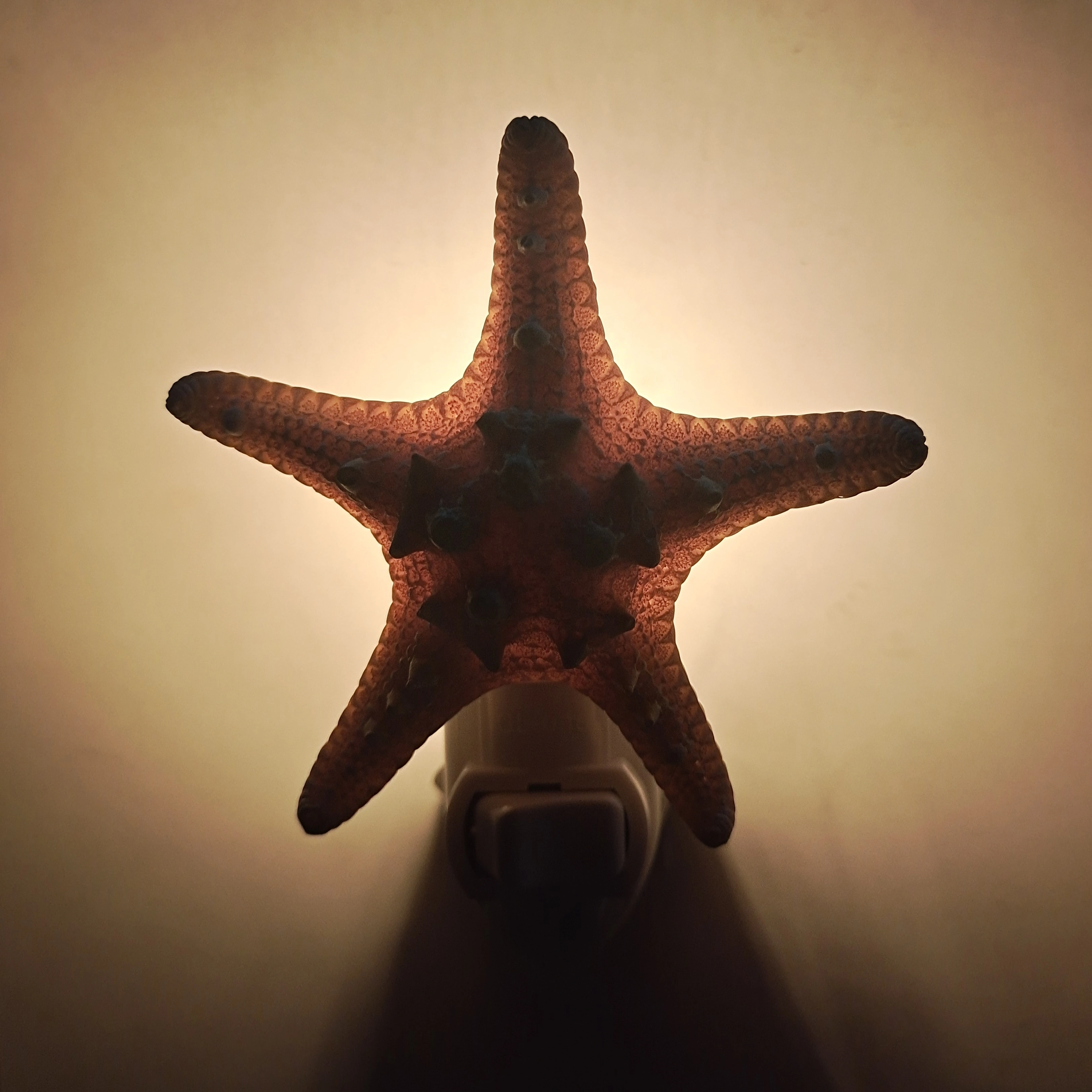 Gl-hx1 Creative Nordic Decorative Resin Sea Starfish Cute Night Light Lamp For Home Decoration Bedroom 1