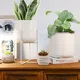 Gold Planter Stand New Image Gifts Wholesale - NEW IMAGE 3