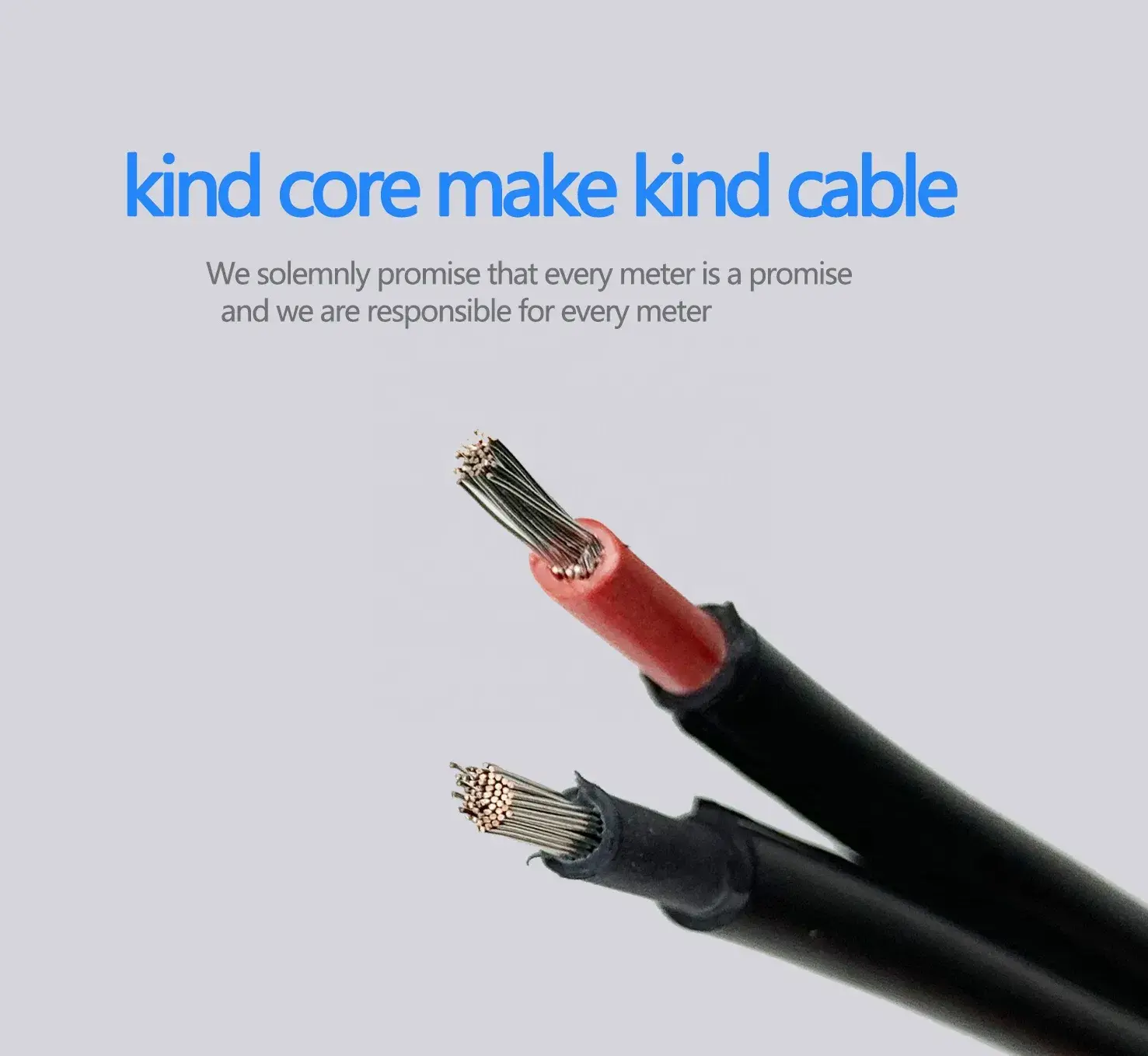 For Apartment Pv Wire for Solar Panels Dual Core by PNTECH 6