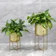 Metal Plant Pots Modern Wholesale - NEW IMAGE 4