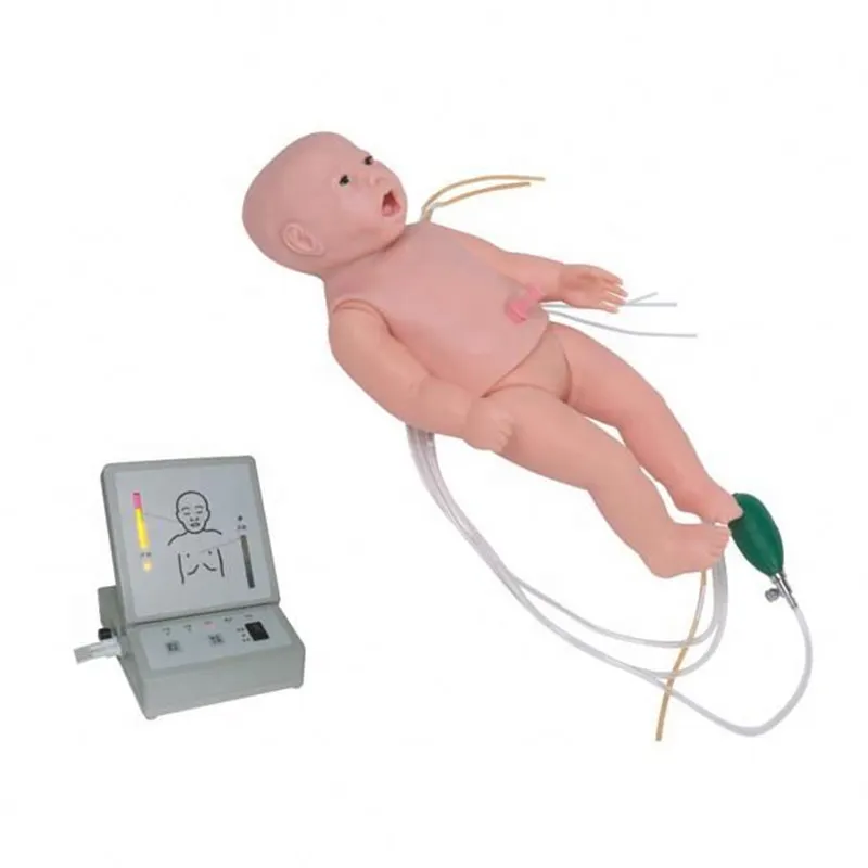 High Quality Full Body Cpr Mannequin Factory 2