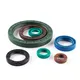Oil Seal Supplier 10-20 Days - - TJKS 3