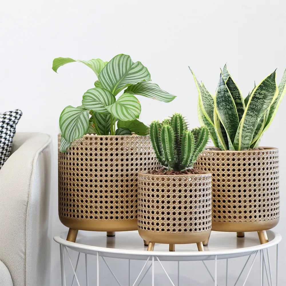 Artificial Flower Pot Floor/ Garden by NEW IMAGE 5