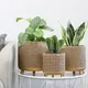 Artificial Flower Pot Floor/ Garden by NEW IMAGE 5