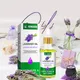 Hair Serum for Hair Growth Seeds Wholesale - Kinodin 3