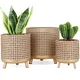 Artificial Flower Pot Floor/ Garden by NEW IMAGE 2