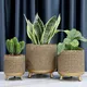 Artificial Flower Pot Floor/ Garden by NEW IMAGE 4