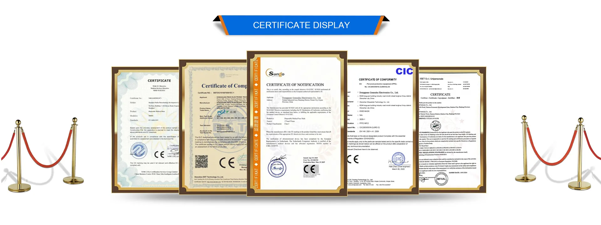 Any Promotion Team Established By Quanzhu In Foreign Countries? 1
