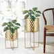 Metal Plant Pots Modern Wholesale - NEW IMAGE 1