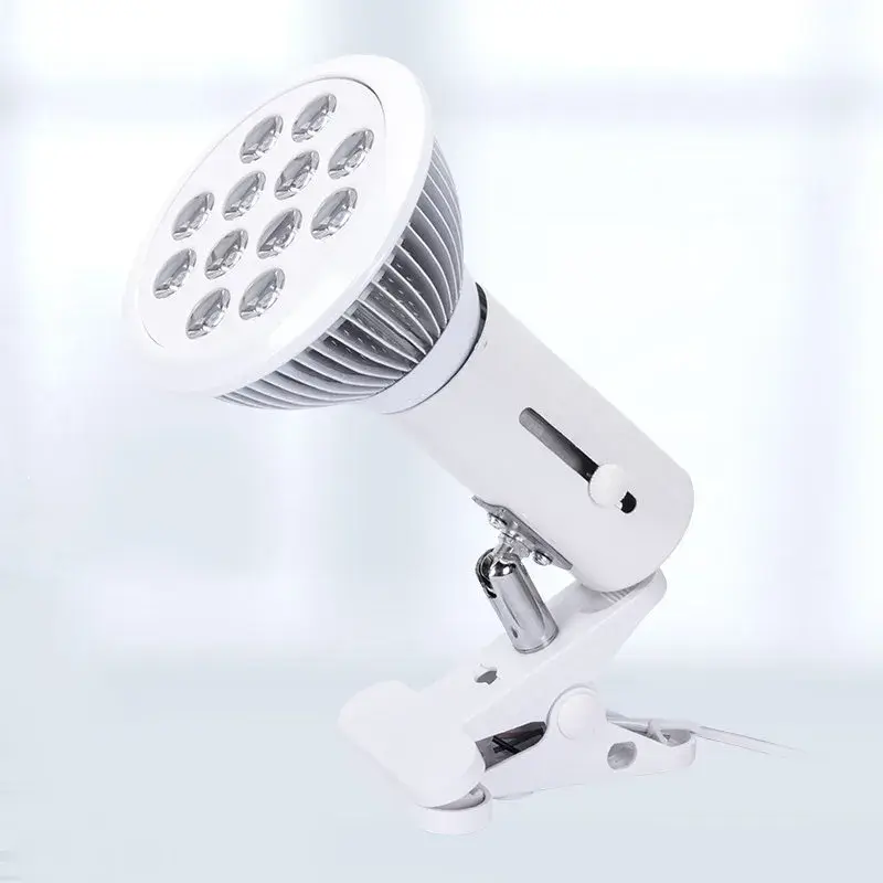 Ray of Hope: How Red Light Therapy Can Improve Your Quality of Life 1