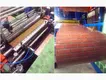 Custom Color Coating Line 6