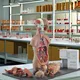 High Precision Muscle Model Wholesaler 7