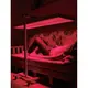 Led Light Therapy Equipment Factory Direct Supply 7