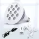 Led Skincare Device Wholesale - REDDOT LED 6