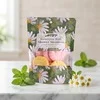 8 pastillas efervescentes de eucalipto y menta para la ducha - 80 g de pastillas de aromaterapia en bolsa con ventana para una experiencia de spa refrescante. 6