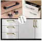 Screw Companies Round - - Lewei Hardware 7