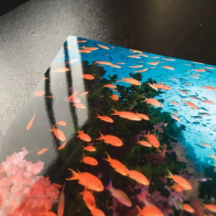 Glossy Sticker Paper Dye and Pigmentbest Supplier 4