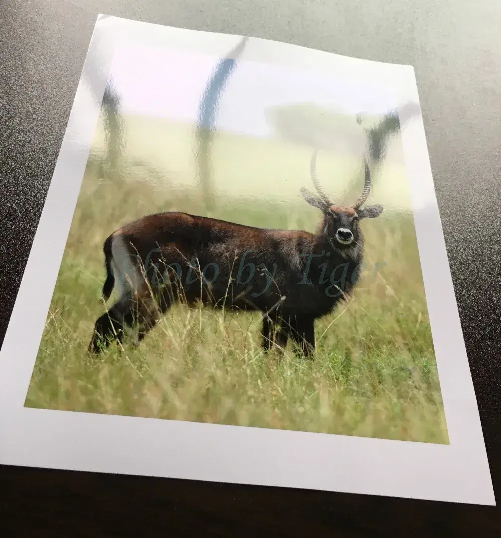 Rc Glossy Photo Paper Glossy HLRC-260Gmade in China 7
