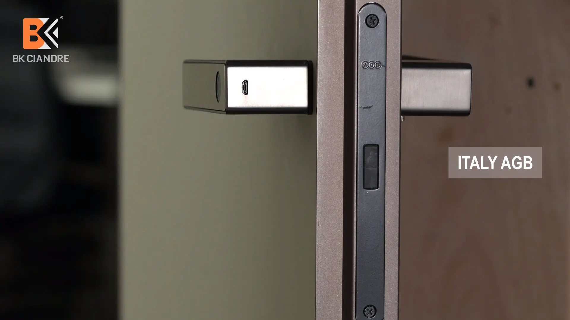 BK CIANDRE Frameless Doors The New Trend In Modern Design[ Frameless Doors ]