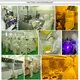 Tianhui Uv Led Ink Curing Sterilization 3