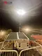 Mobile Floodlight Tower with Generator Biglux 95% Efficiency BIGLUX Brand 6