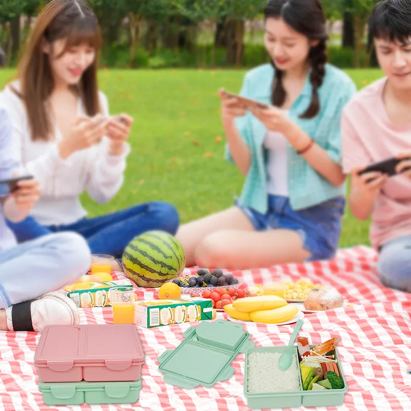 Plastic Lunch Containers with Dividers Suppliers for Food Carry 22*16*6cm 6