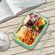 Plastic Lunch Containers with Dividers Brand Company 21*14.5*5.5cm 2