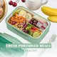 Plastic Lunch Containers with Dividers Brand Company 21*14.5*5.5cm 4