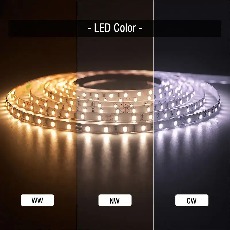 Orbit Landscape Lighting DC24 Bulk Buy 600lm/m VHLighting 2