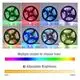 Garden Landscape Lighting RGB Addressable 2