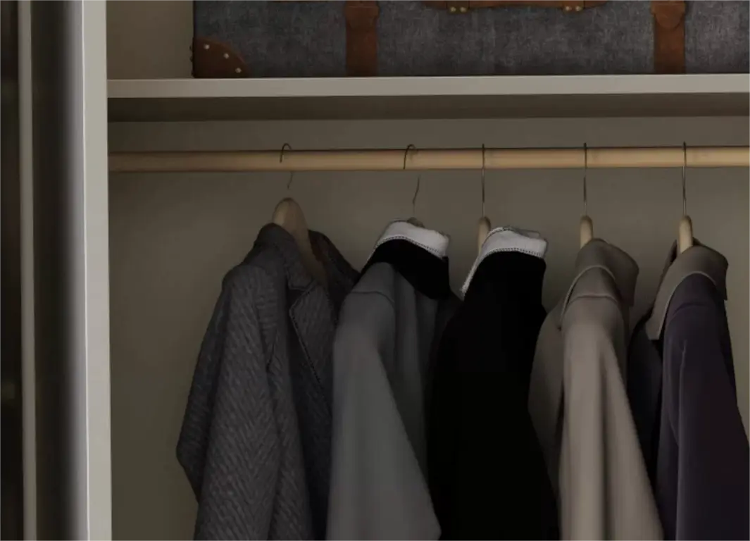 Hinged Door Wardrobes 8