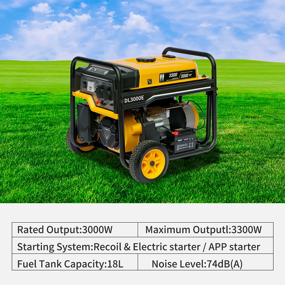 Wepolink Gas Electric Generators - RHOS 9