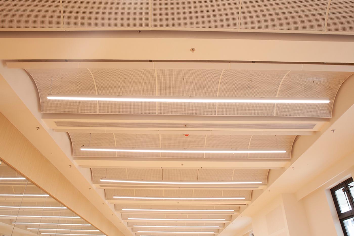 Sinis Dongguan BBK experimentalem School laquearia <0000000000> William Project 25