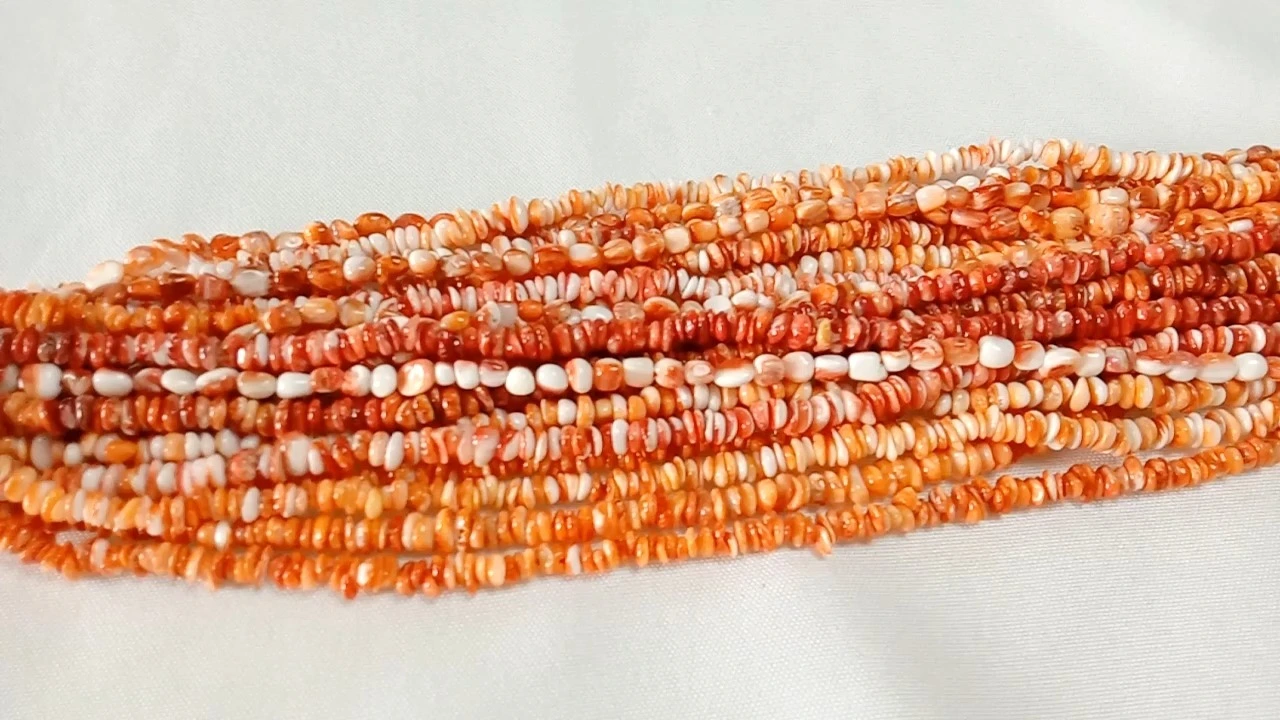 Spiny Oyster Chips Beads ទំហំ 4-6mm 16 inch Strand 1