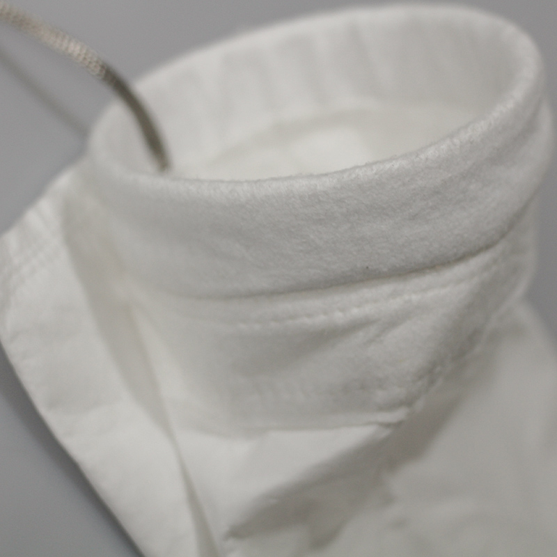 Sac filtrant en ptfe pour fluide liquide Sffiltech avec anneau en plastique, anneau en acier inoxydable 5