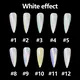 Azmee Brand Chameleon Nail Powder 10colors 2g N.W. 4